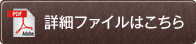 詳細ファイルはこちら